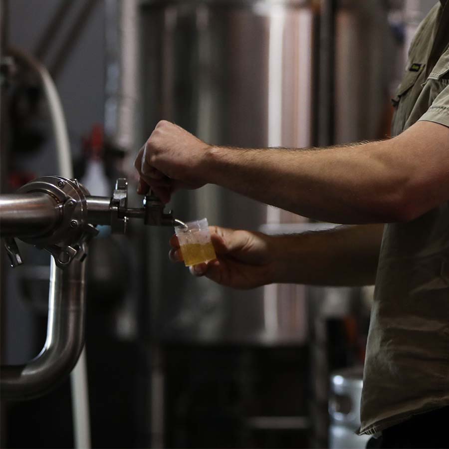 Brewers_June_9_3000x